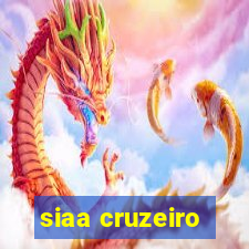 siaa cruzeiro